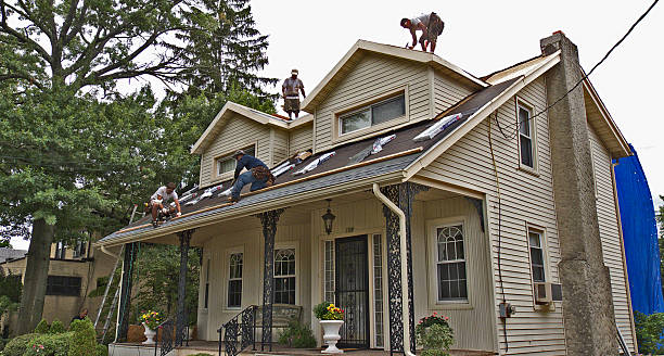 Best Roof Leak Repair  in Timberville, VA