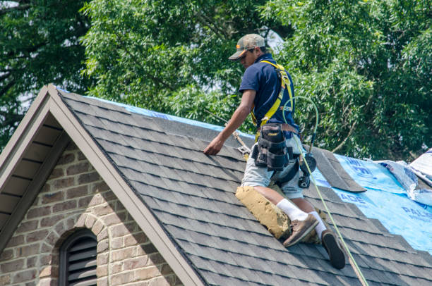 Professional Roofing Contractor in Timberville, VA